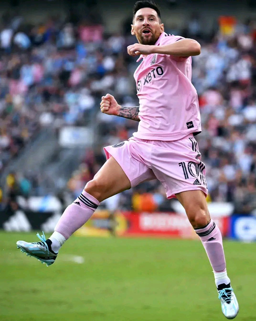 比利时球队集体庆功，目标晋级下一轮的简单介绍