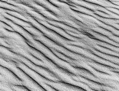 沙尔克队主席领导青训基地开放活动 沙尔克队主席领导青训基地开放活动